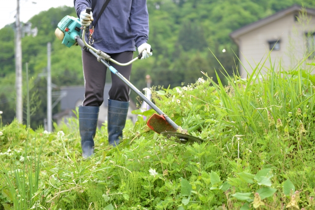 土浦市で草刈りに最適な年3回の時期～楽に草刈りを終えるコツまで徹底解説