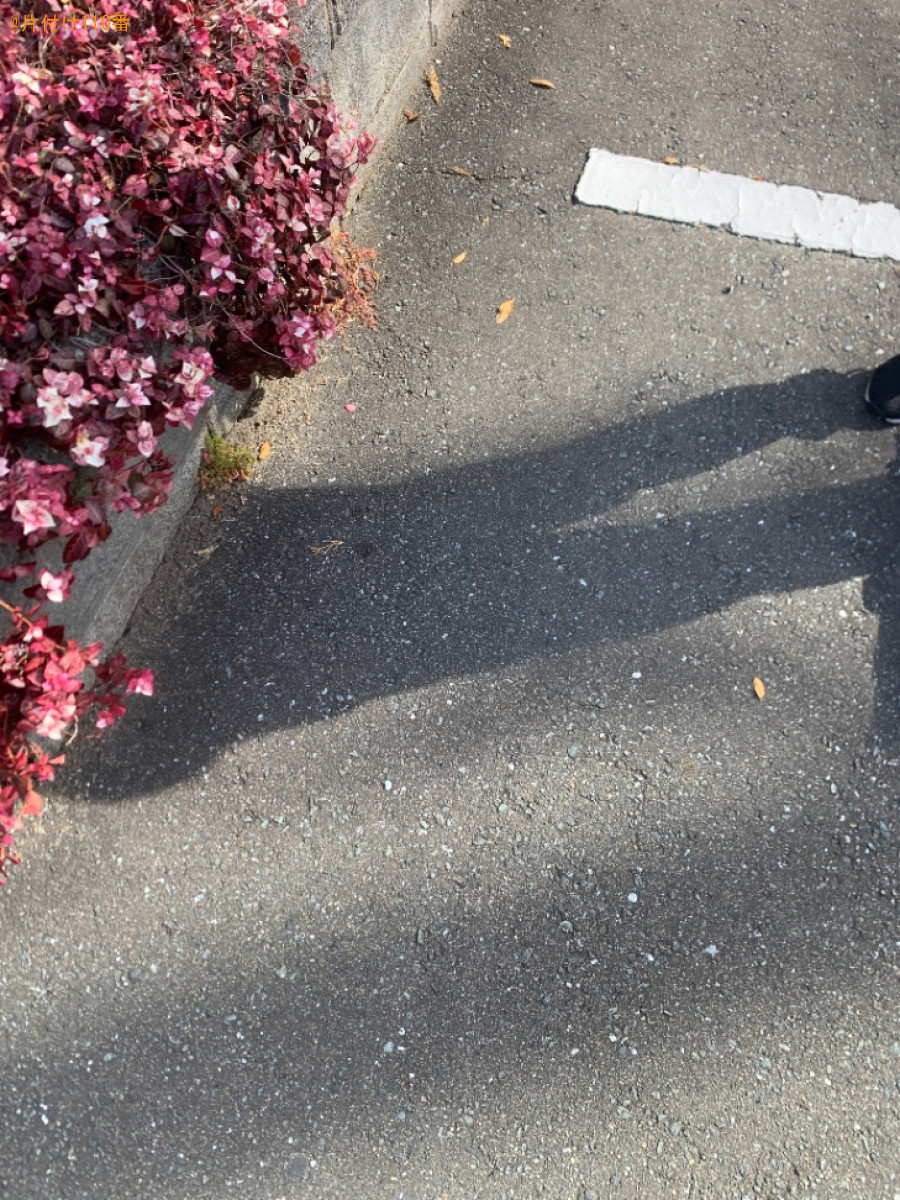 扇風機、布団、猫用トイレの回収・処分ご依頼　お客様の声